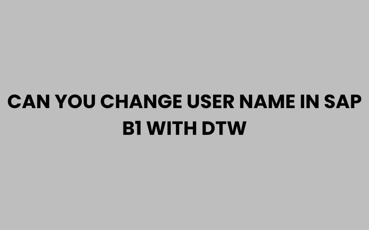 can you change user name in sap b1 with dtw