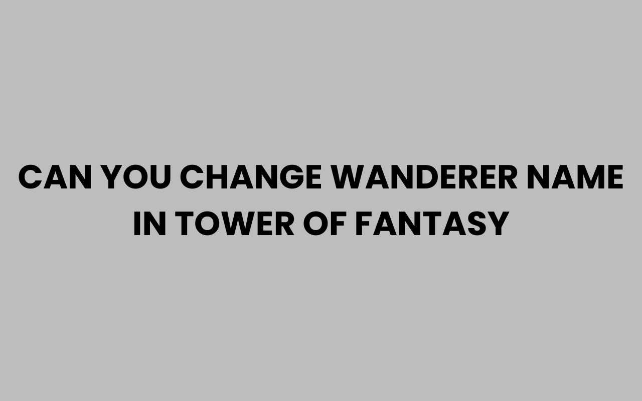 can you change wanderer name in tower of fantasy
