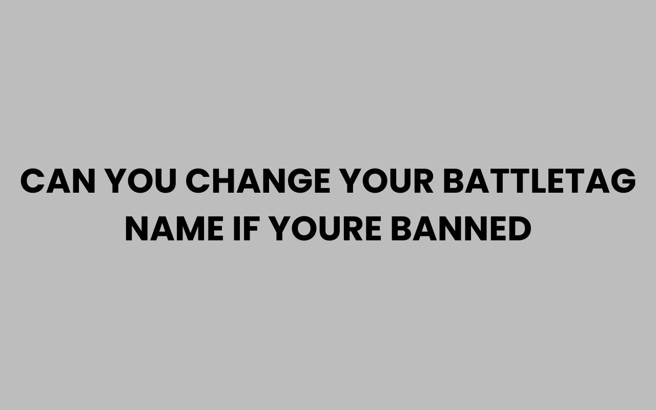 can you change your battletag name if youre banned