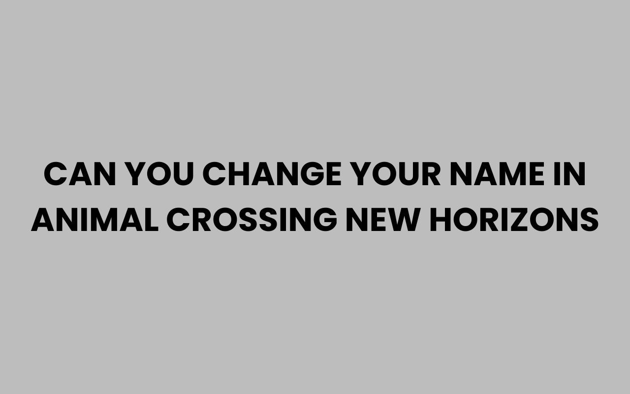 can you change your name in animal crossing new horizons