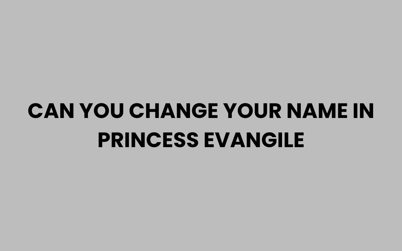 can you change your name in princess evangile