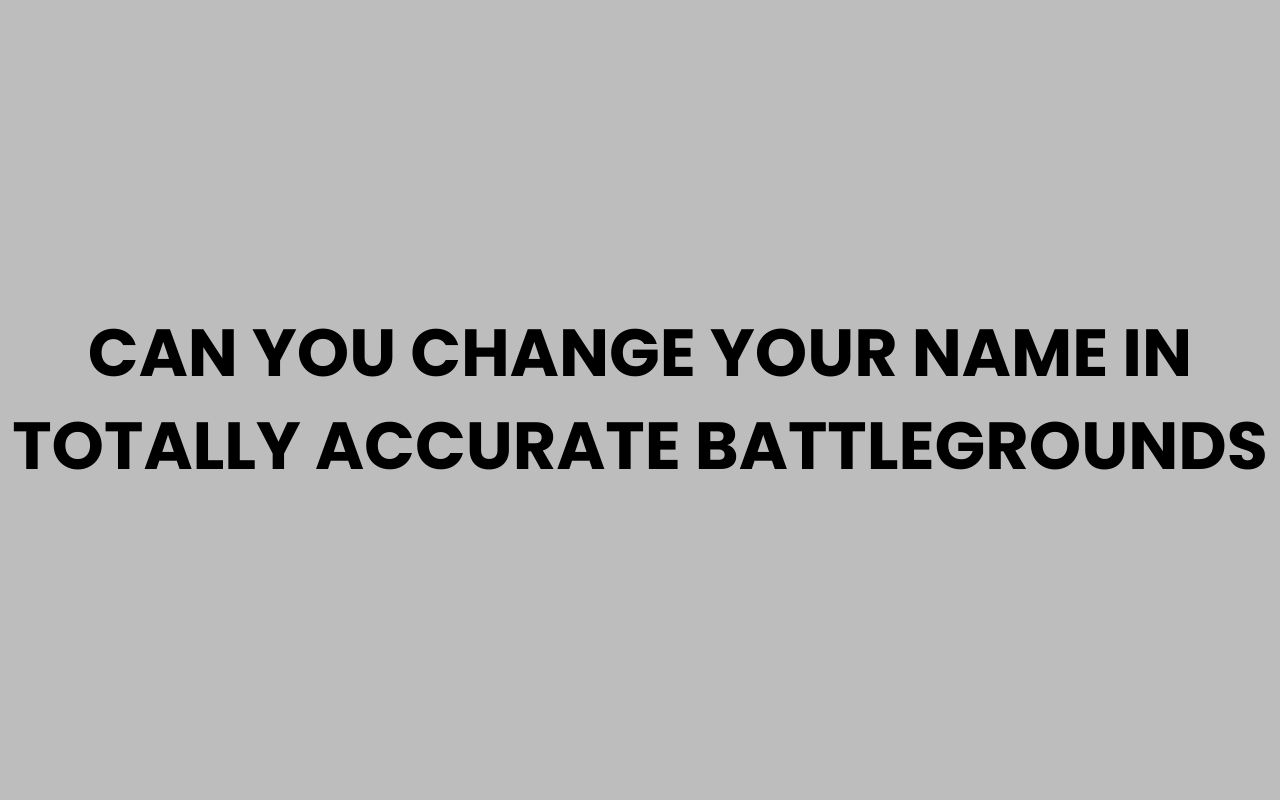 can you change your name in totally accurate battlegrounds
