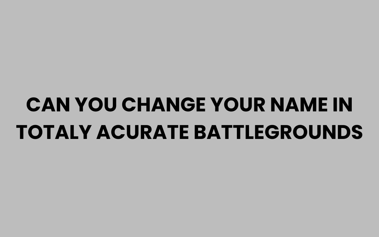 can you change your name in totaly acurate battlegrounds