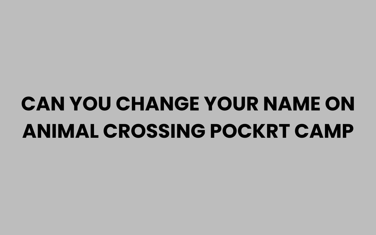 can you change your name on animal crossing pockrt camp