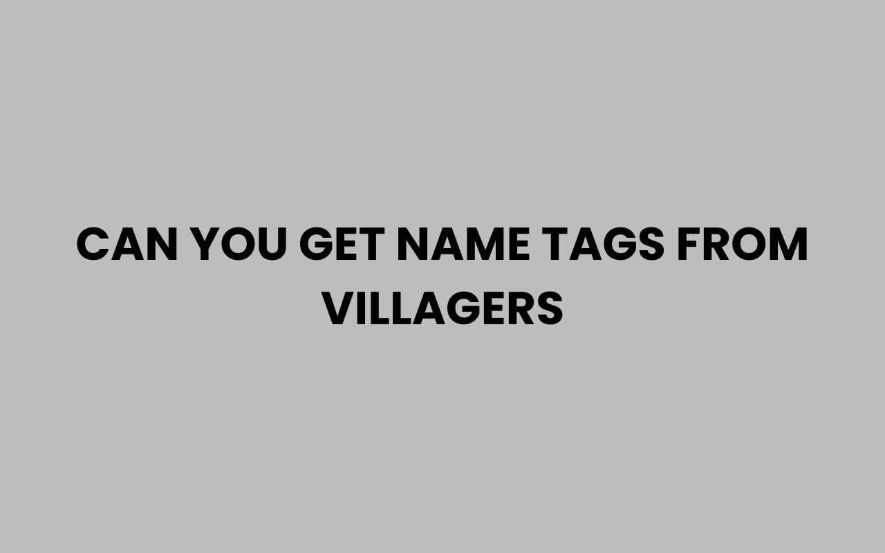 can you get name tags from villagers