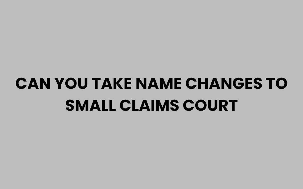 can you take name changes to small claims court