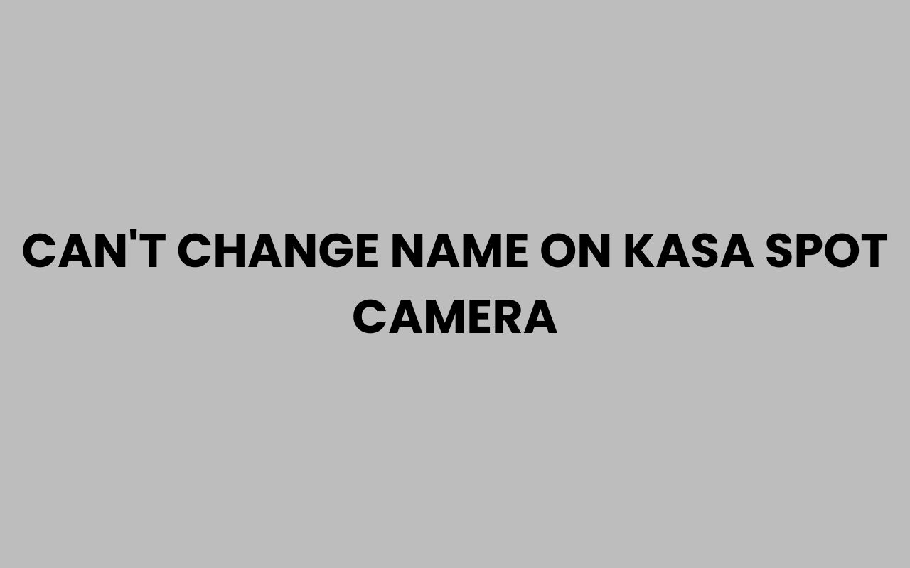 cant change name on kasa spot camera