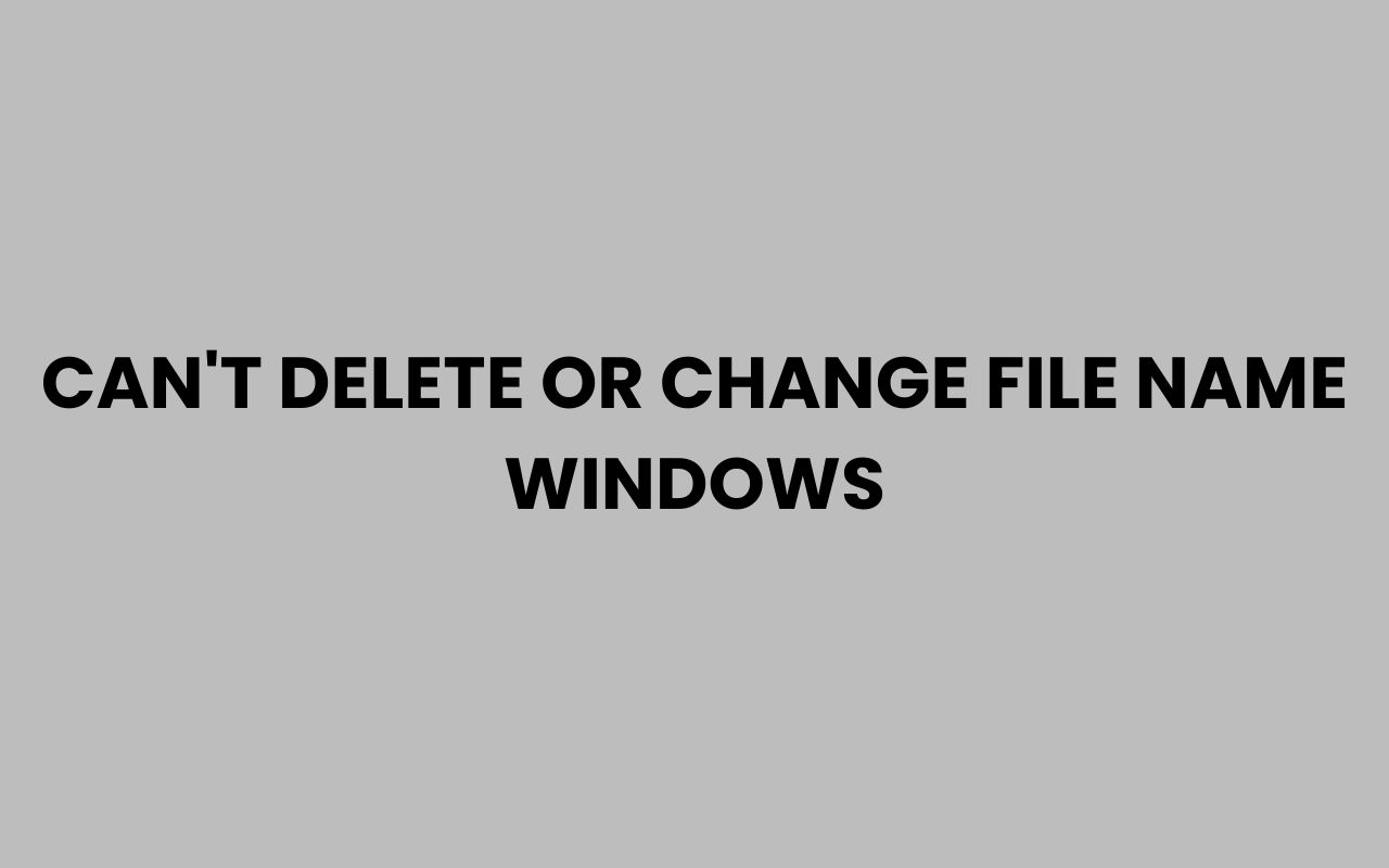 cant delete or change file name windows