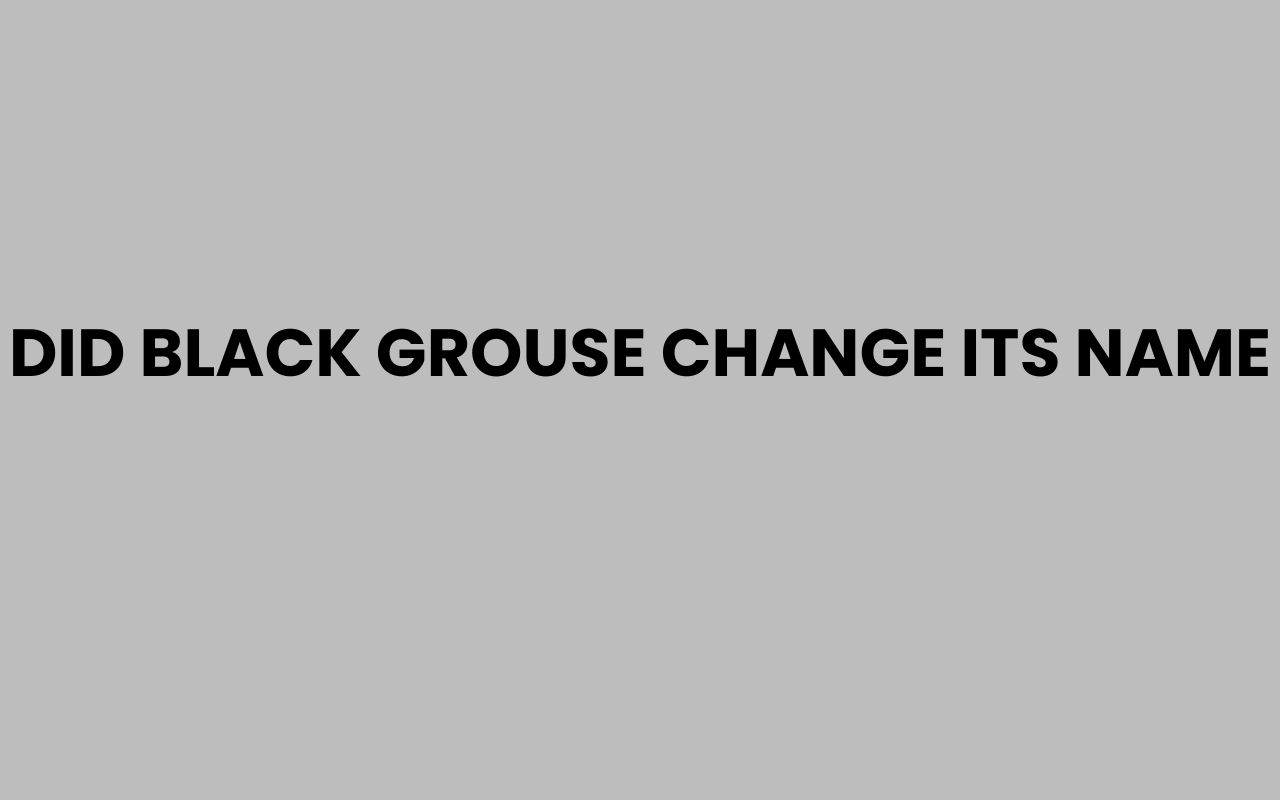 did black grouse change its name