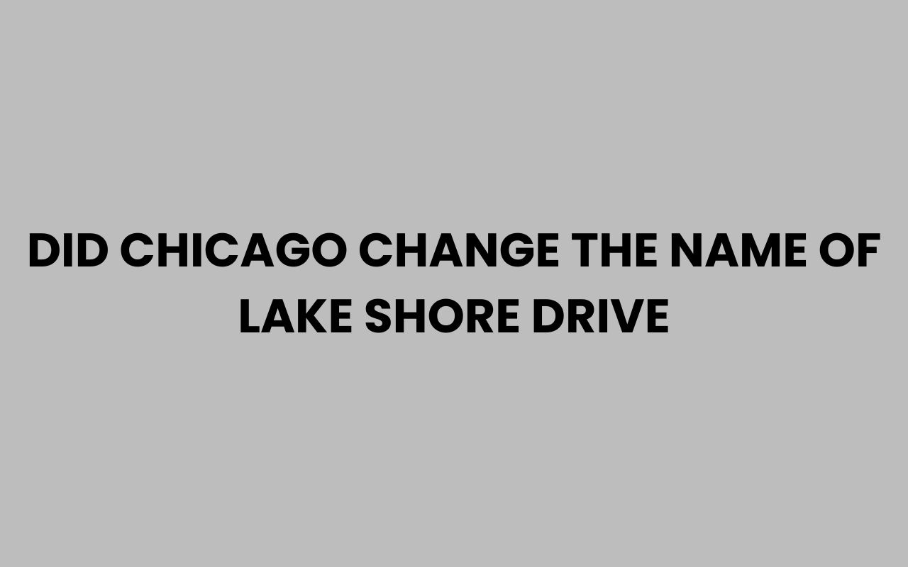 did chicago change the name of lake shore drive