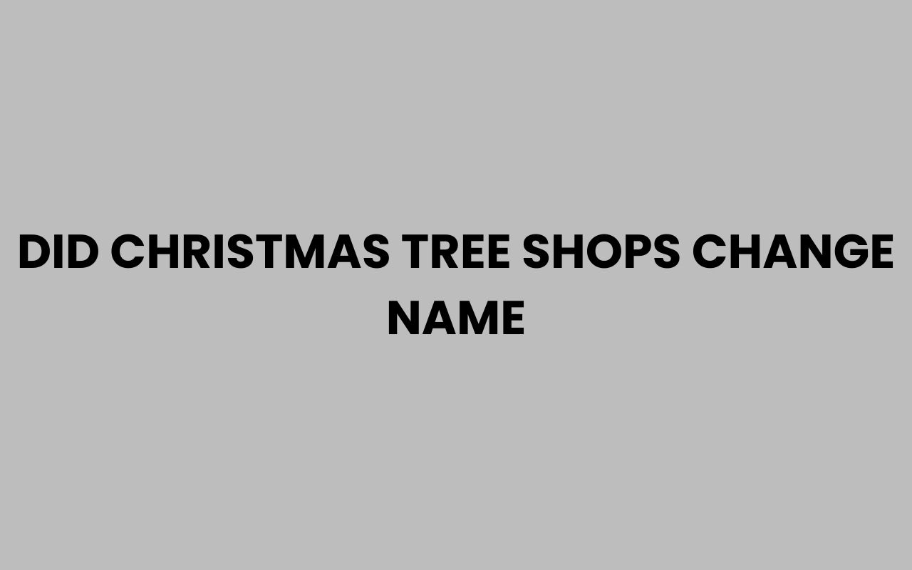 did christmas tree shops change name