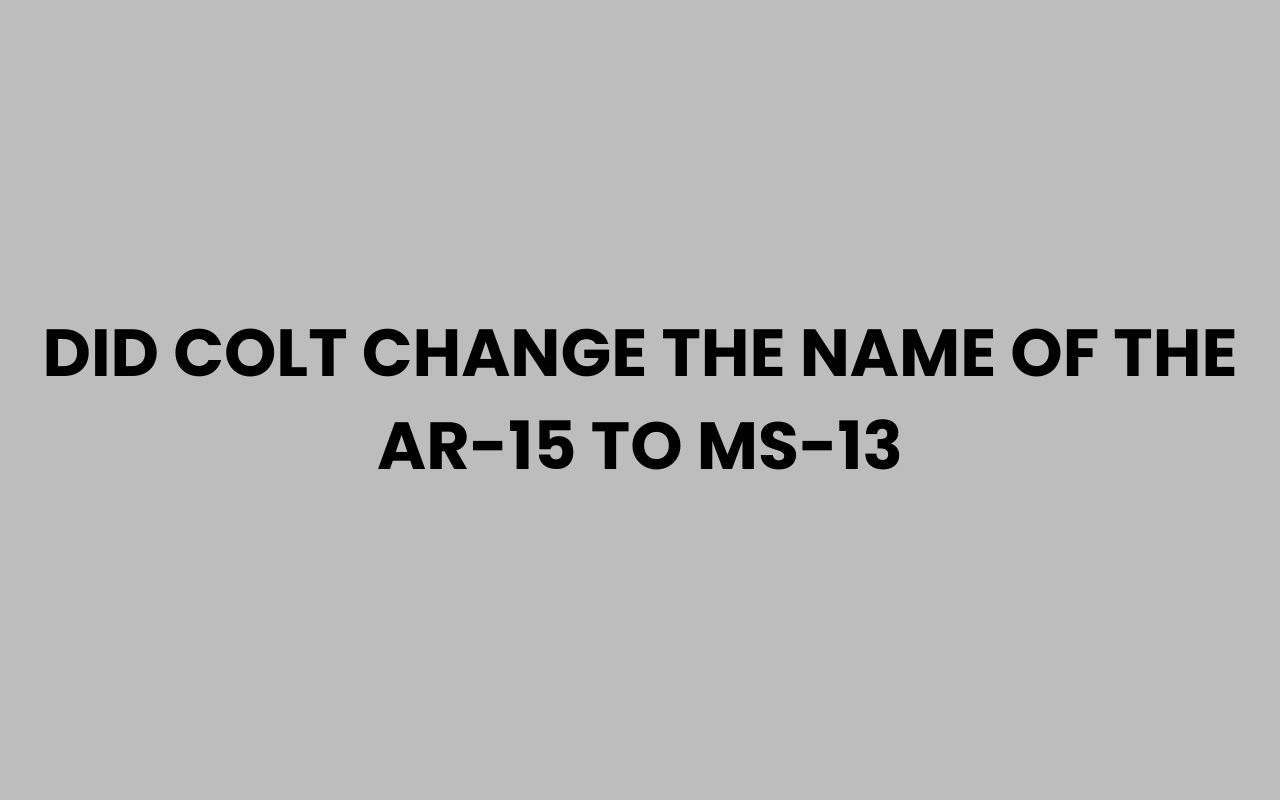 did colt change the name of the ar 15 to ms 13