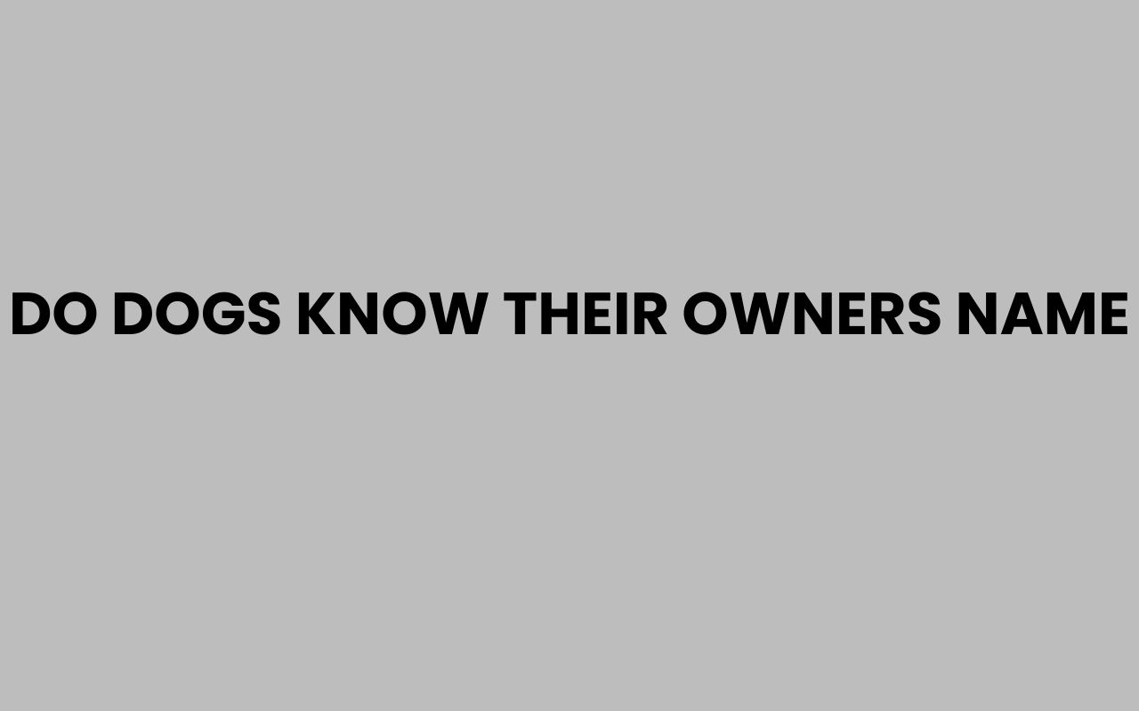 do dogs know their owners name