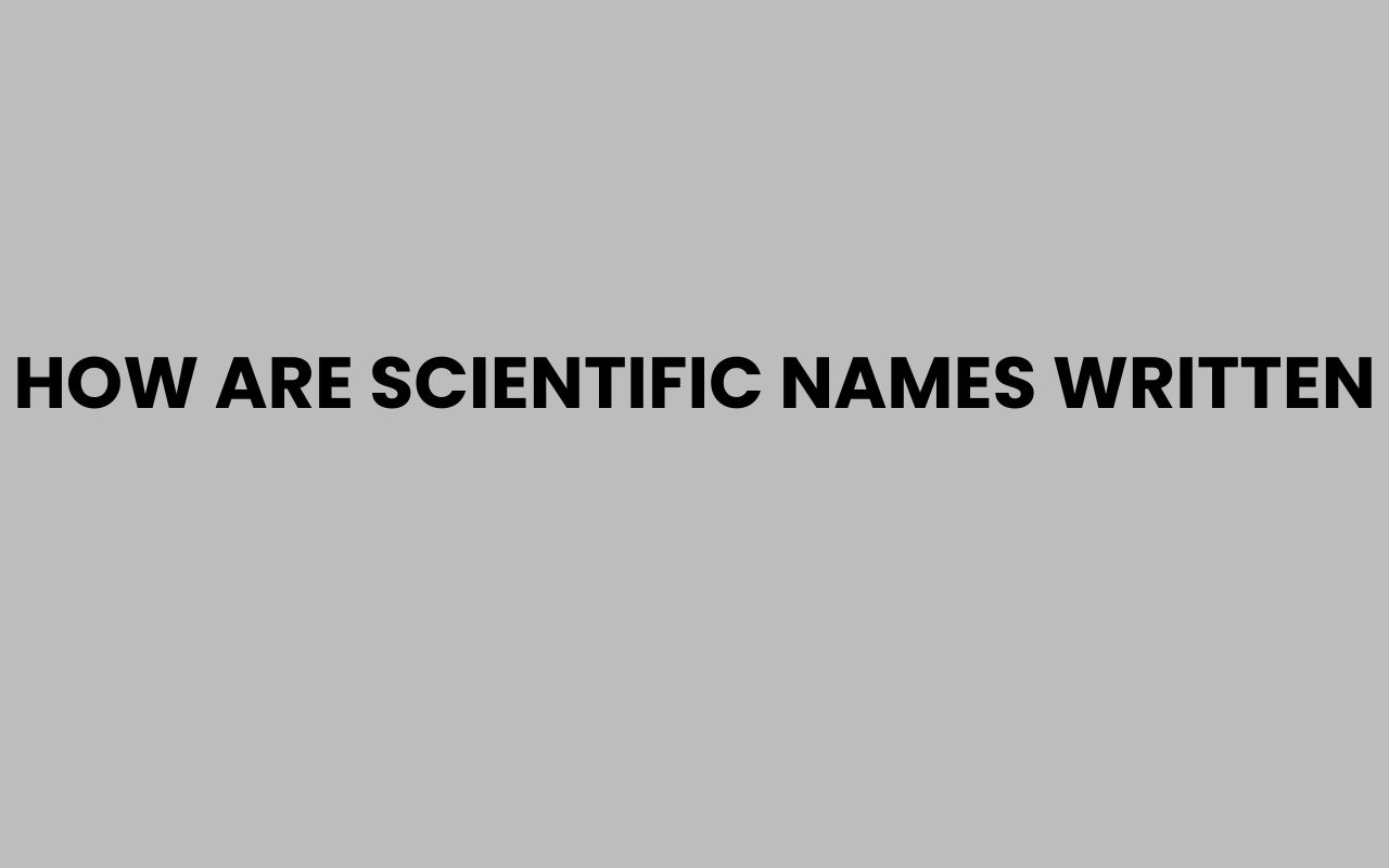 how are scientific names written
