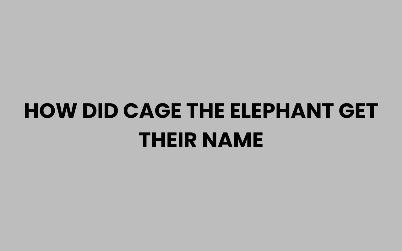 how did cage the elephant get their name