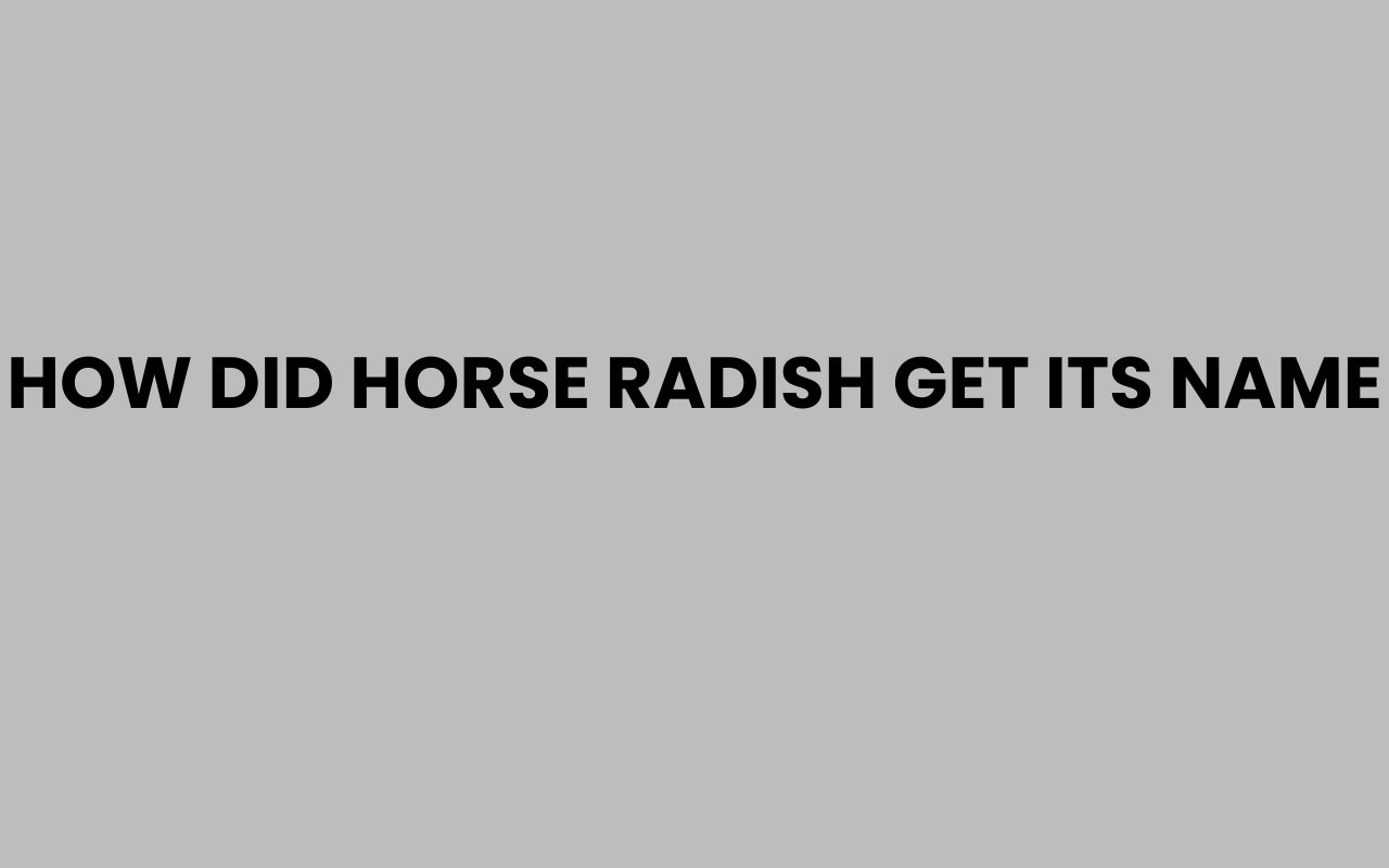 how did horse radish get its name
