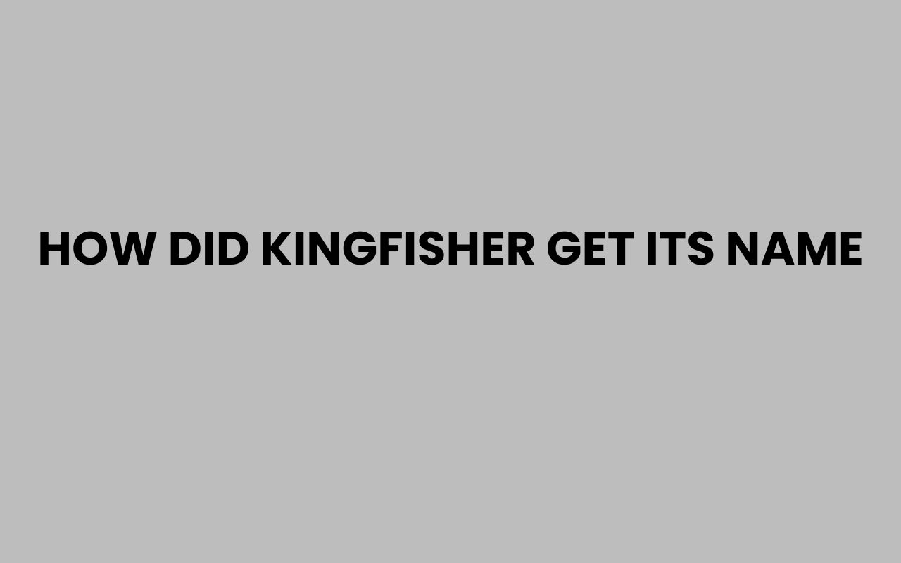 how did kingfisher get its name