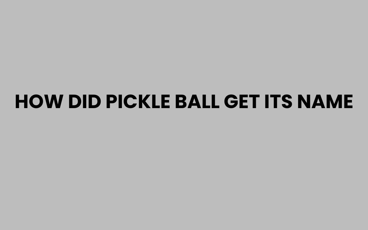 how did pickle ball get its name
