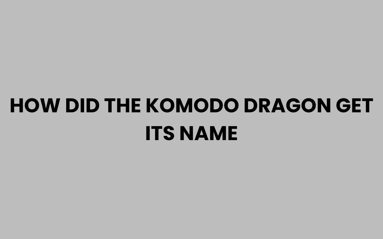 how did the komodo dragon get its name