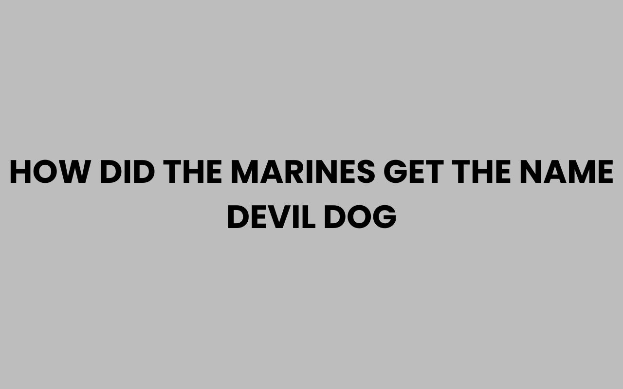 how did the marines get the name devil dog
