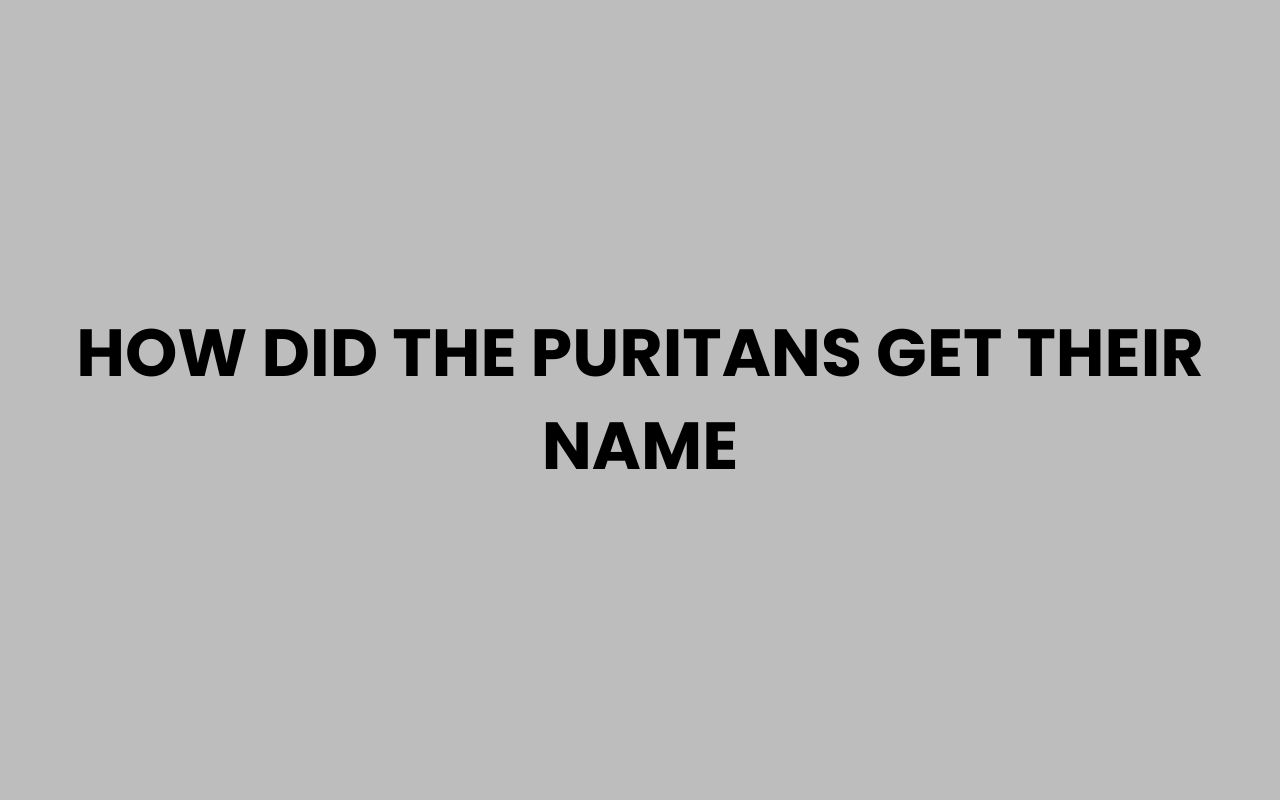 how did the puritans get their name