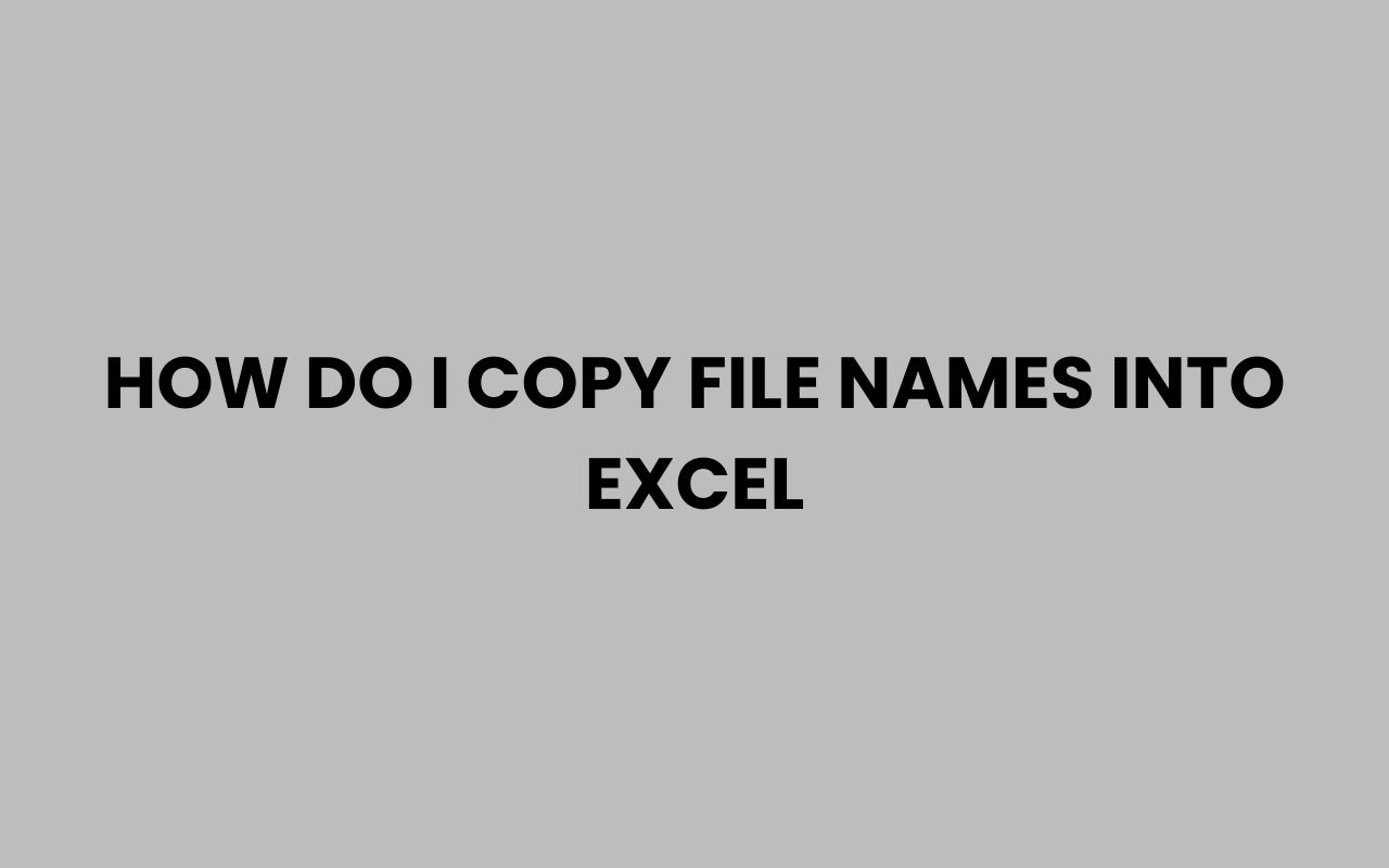 how do i copy file names into