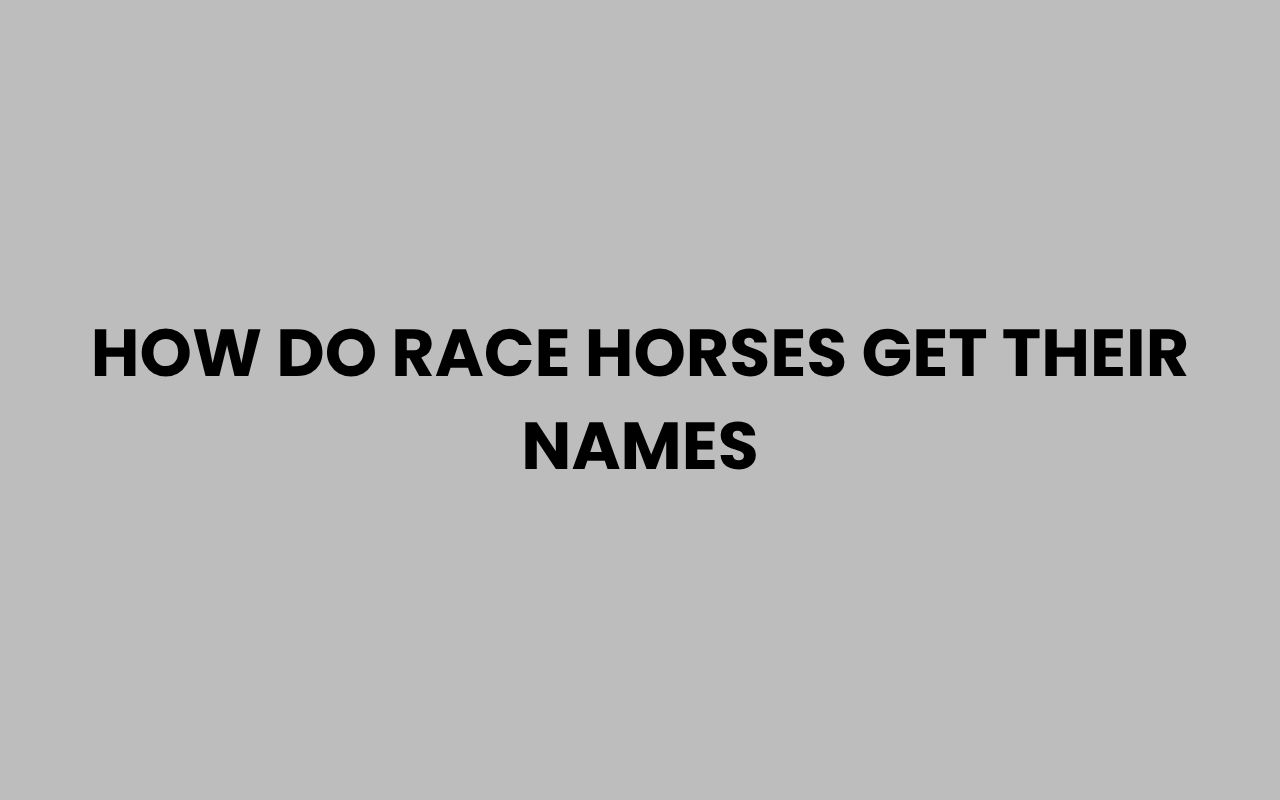 how do race horses get their names