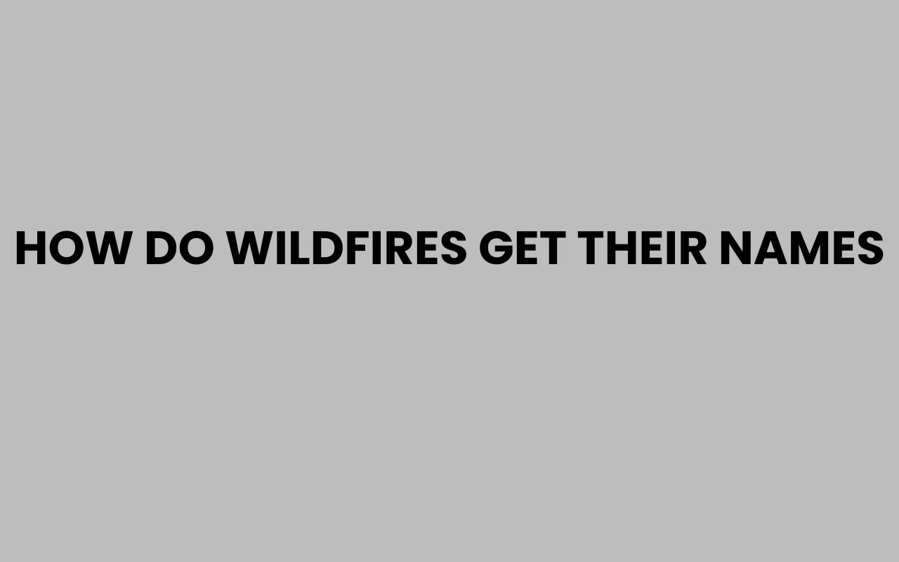 how do wildfires get their names