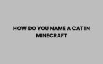 How Do You Name a Cat in Minecraft: Easy Step-by-Step Guide