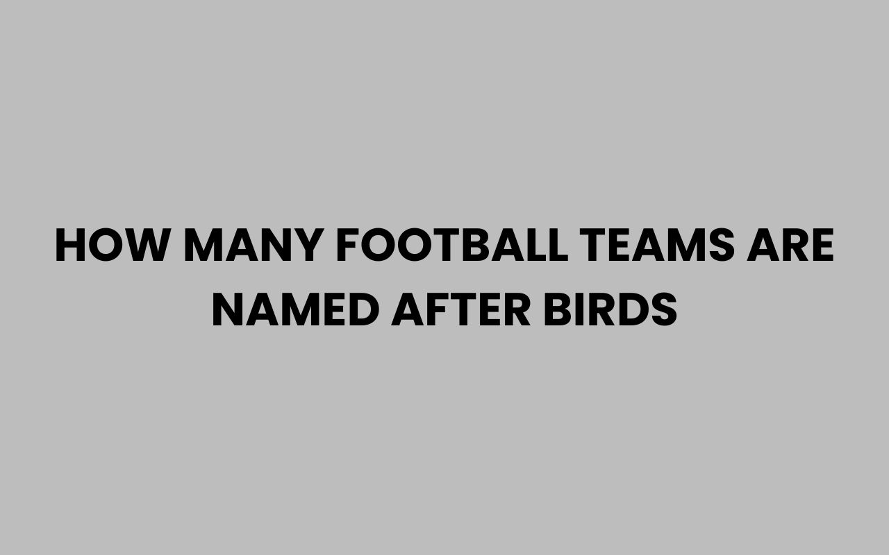 how many football teams are named after birds