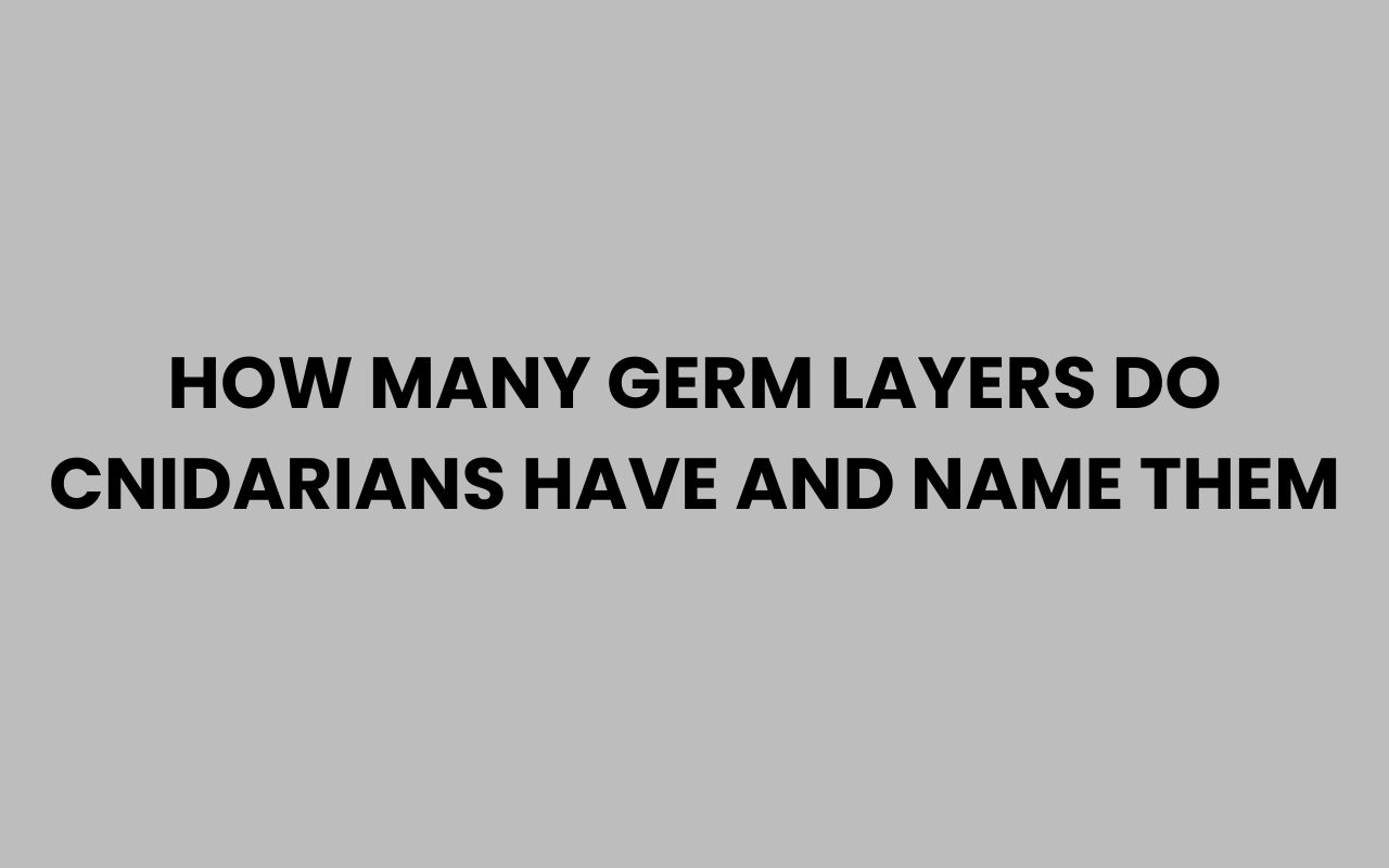 how many germ layers do cnidarians have and name them