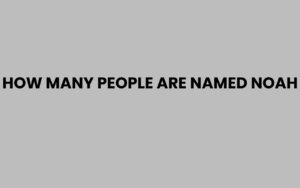 How Many People Are Named Noah Worldwide?