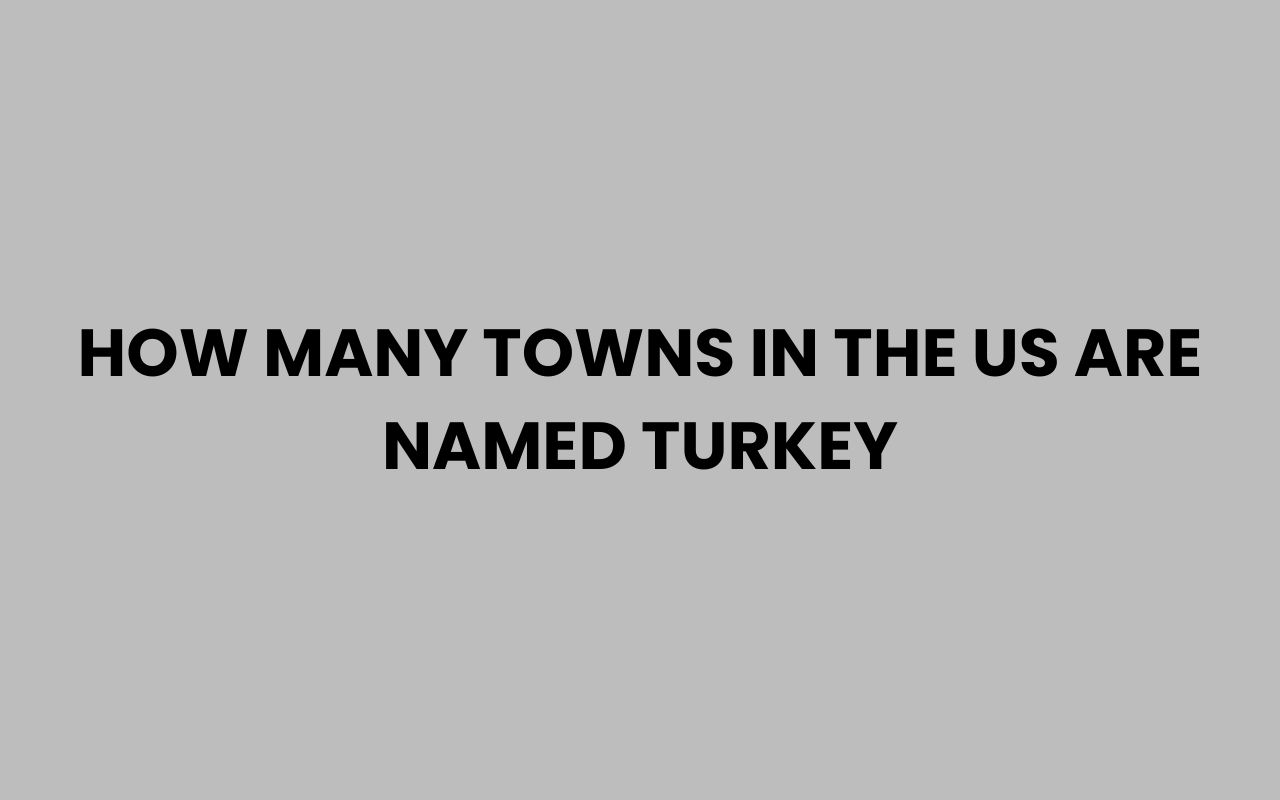 how many towns in the us are named turkey