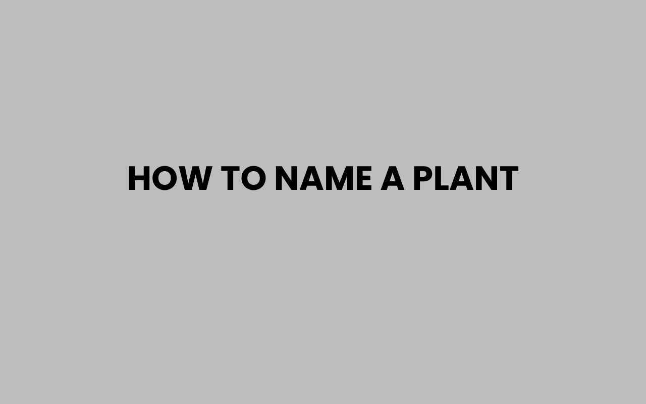how to name a plant