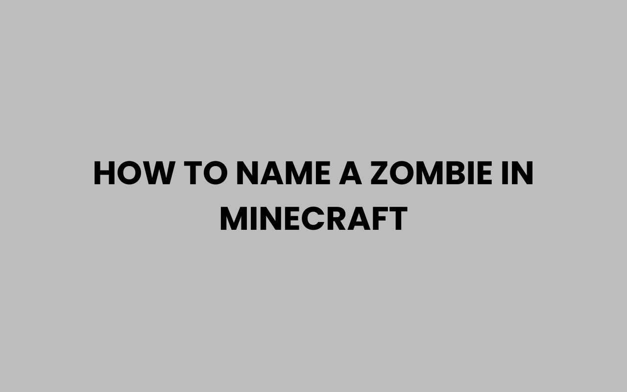 how to name a zombie in minecraft