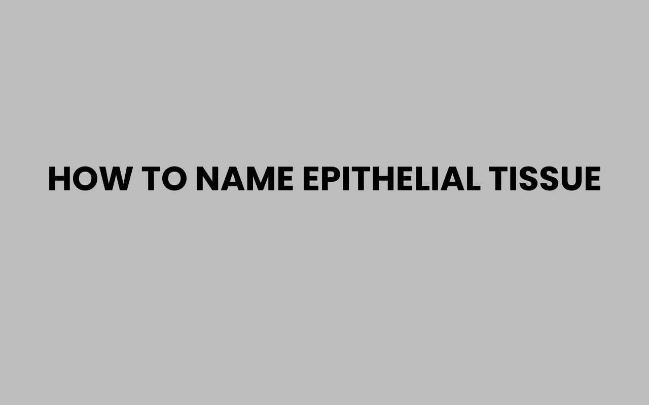 how to name epithelial tissue