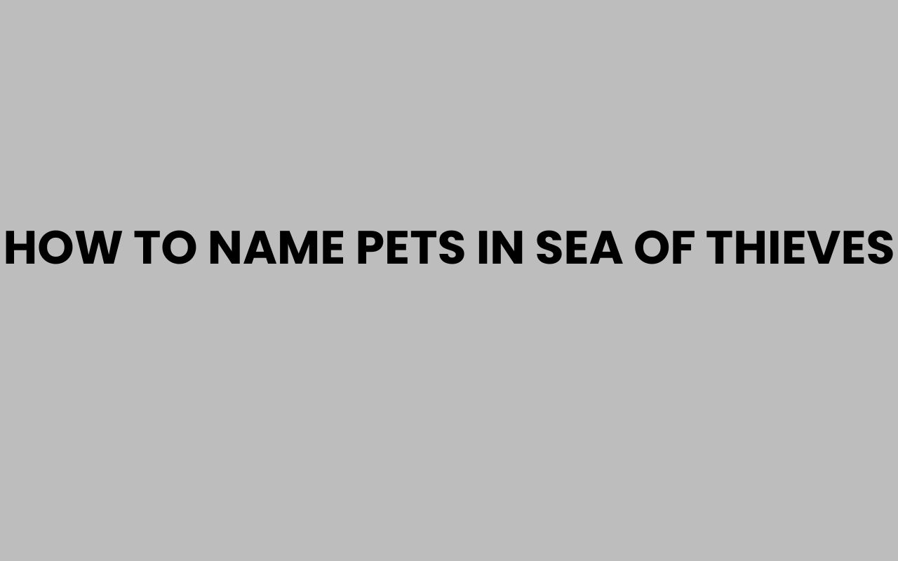 how to name pets in sea of thieves