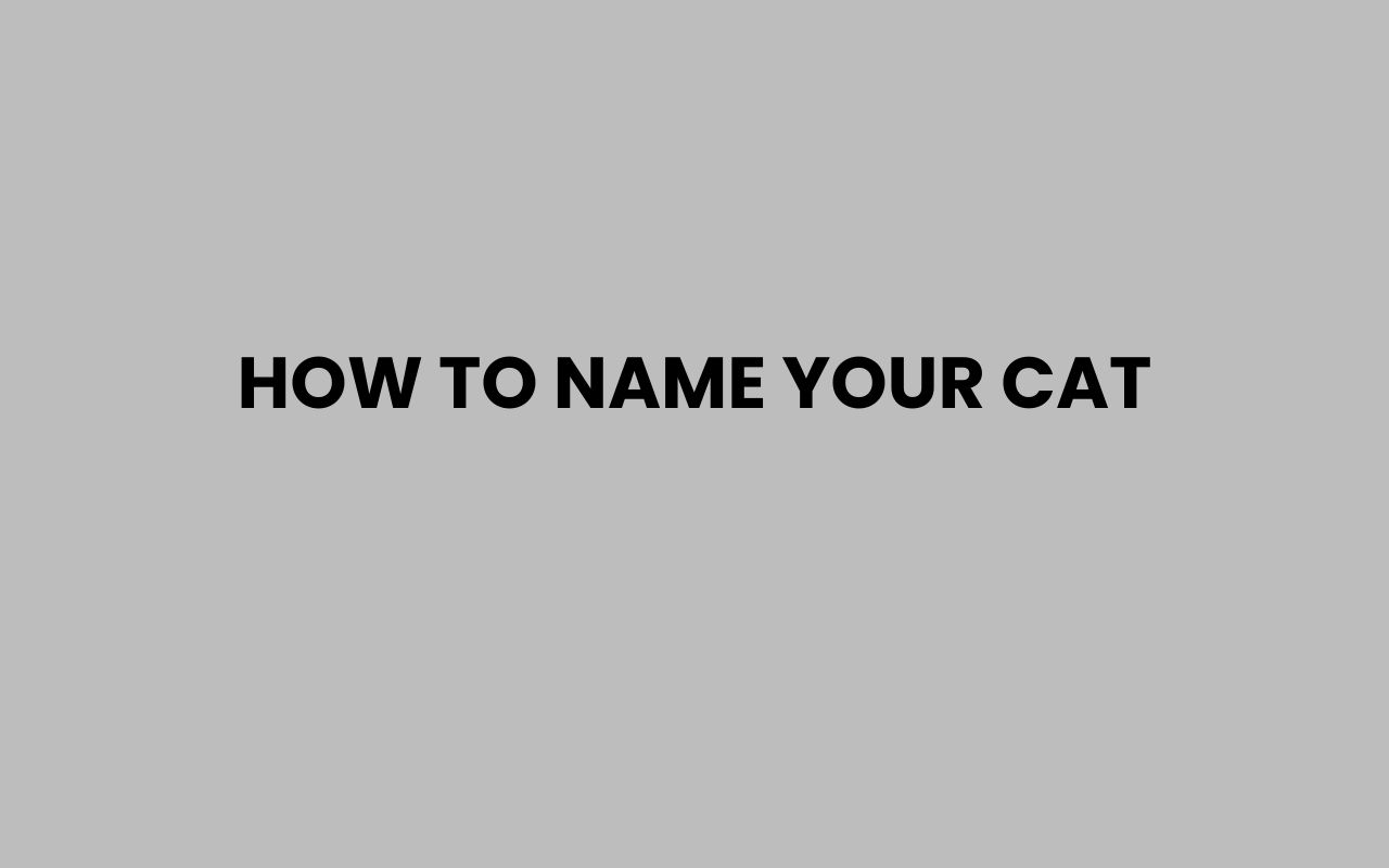 how to name your cat