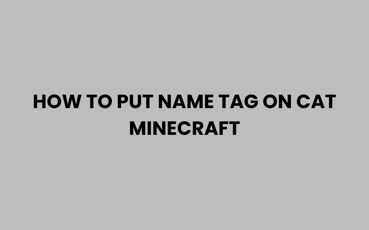 how to put name tag on cat minecraft