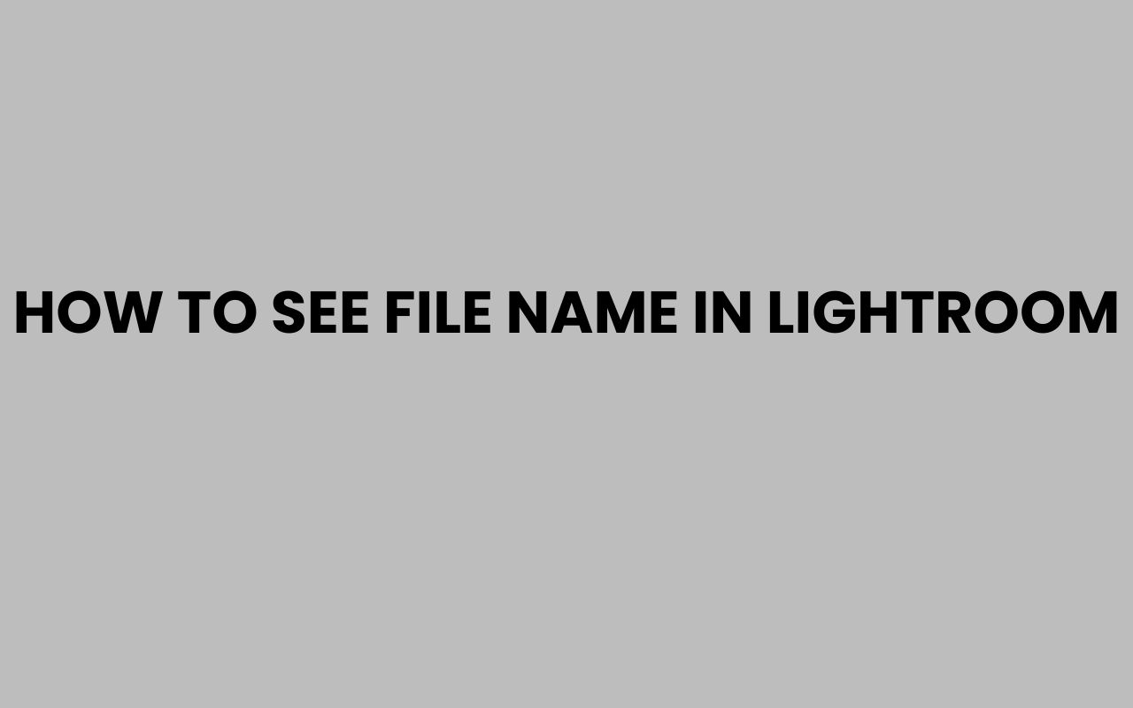 how to see file name in lightroom