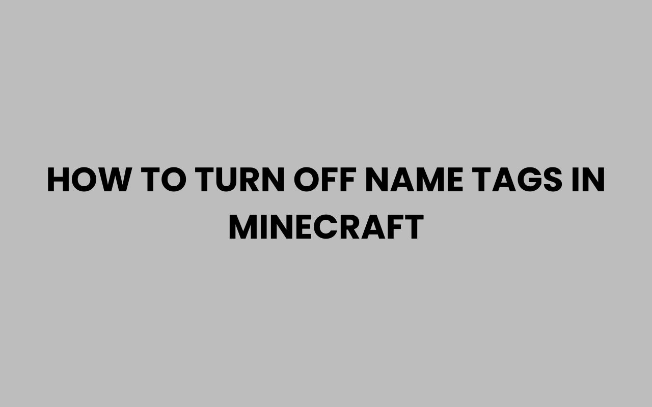 how to turn off name tags in minecraft