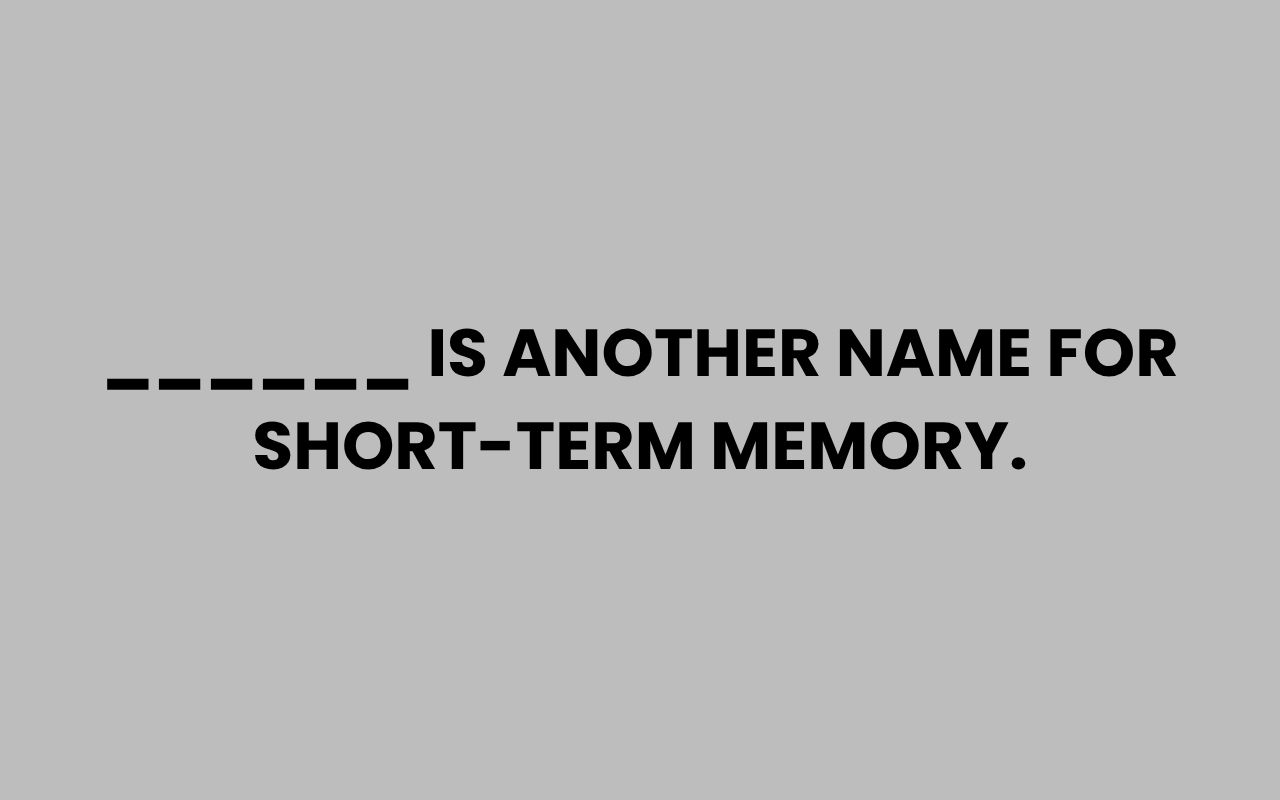 is another name for short term memory