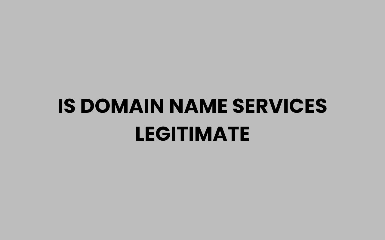 is domain name services legitimate