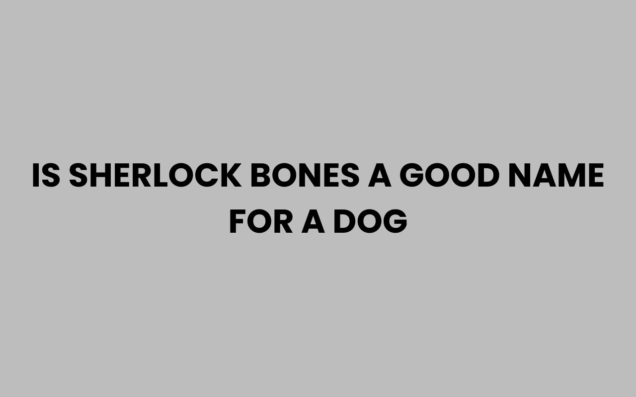 is sherlock bones a good name for a dog