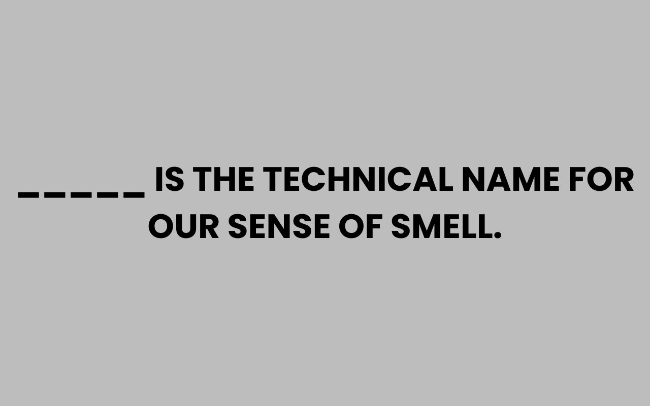 is the technical name for our sense of smell