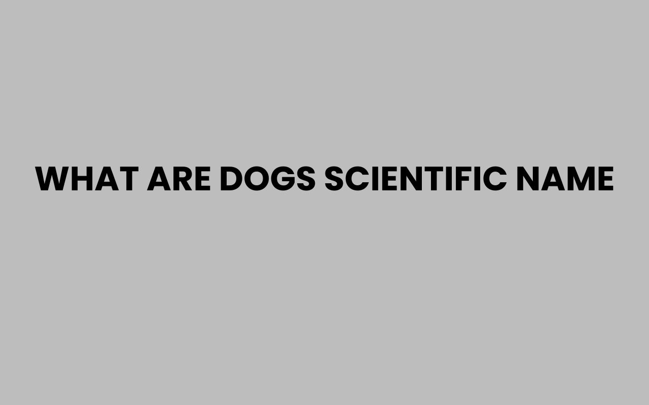 what are dogs scientific name