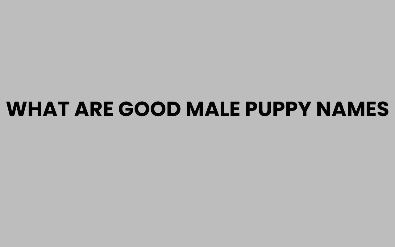 what are good male puppy names
