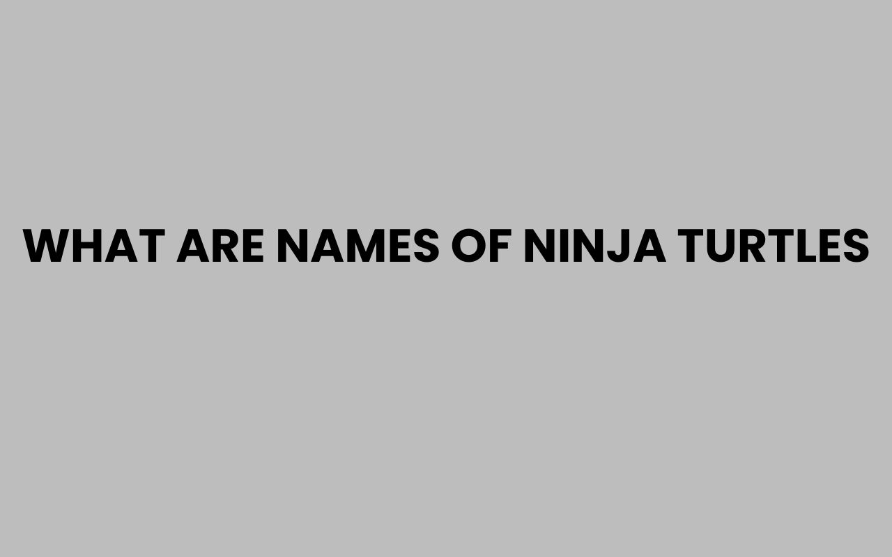 what are names of ninja turtles