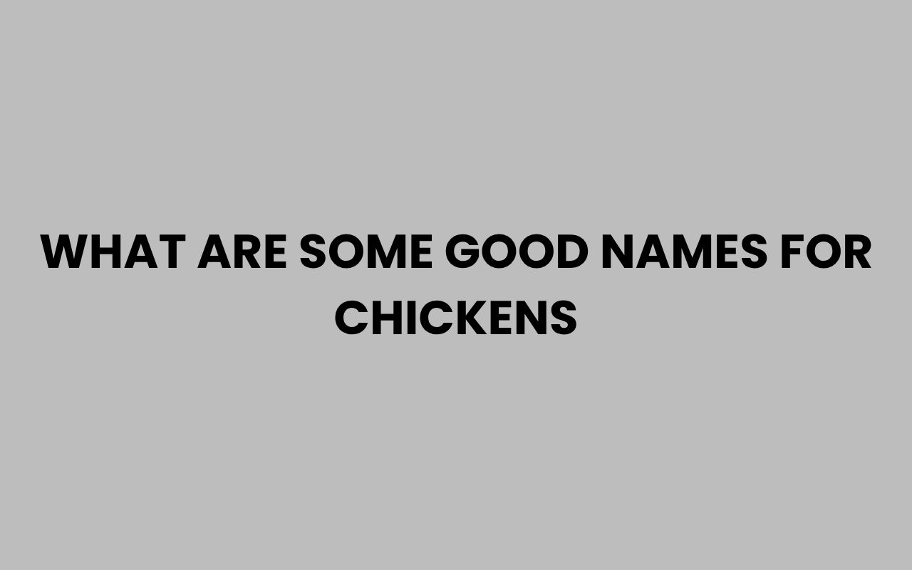 what are some good names for chickens
