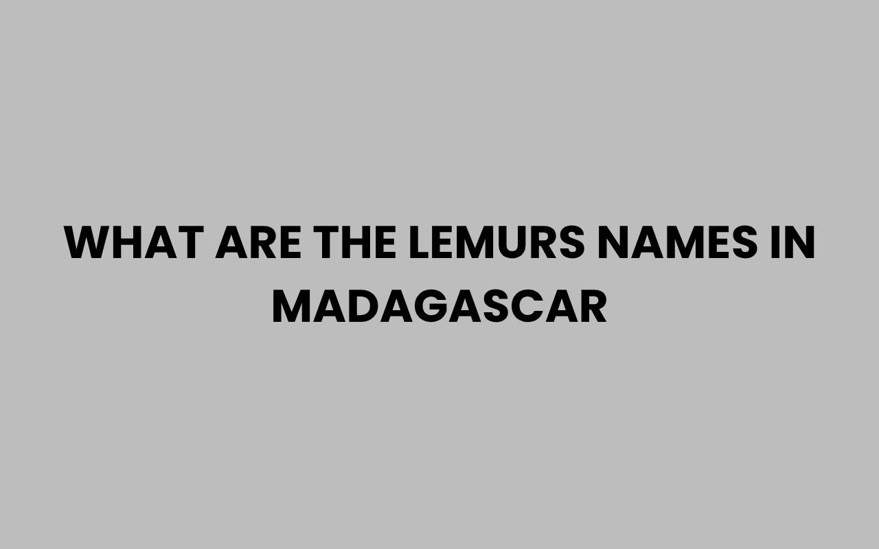 what are the lemurs names in madagascar